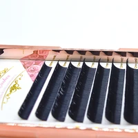 

Lash vendor wholesale pre made fans eyelash extension kit bag case with eyelash extension tweezers