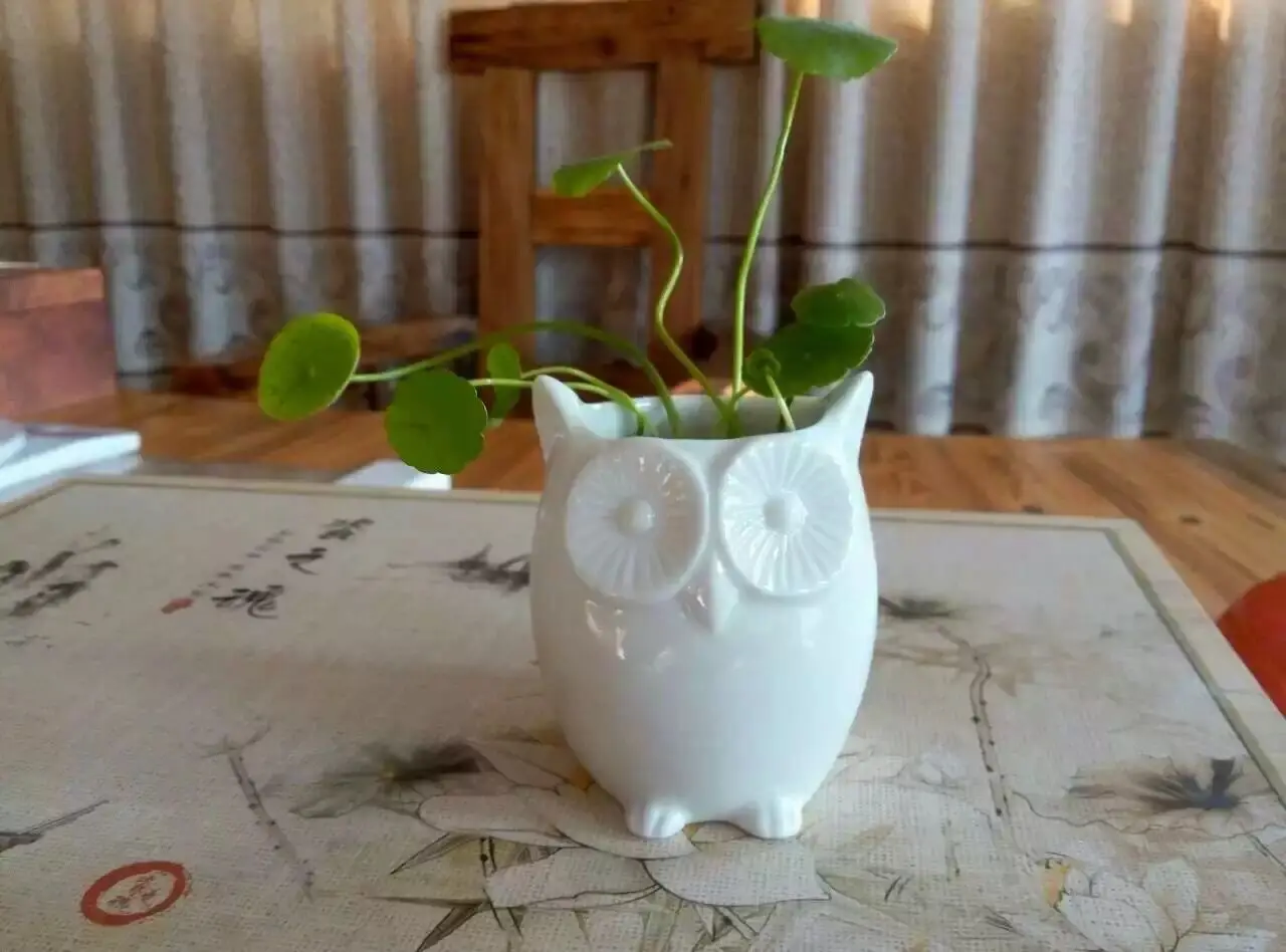 C347EF34-A18A-4EA8-8CE6-D6E4CFD39615