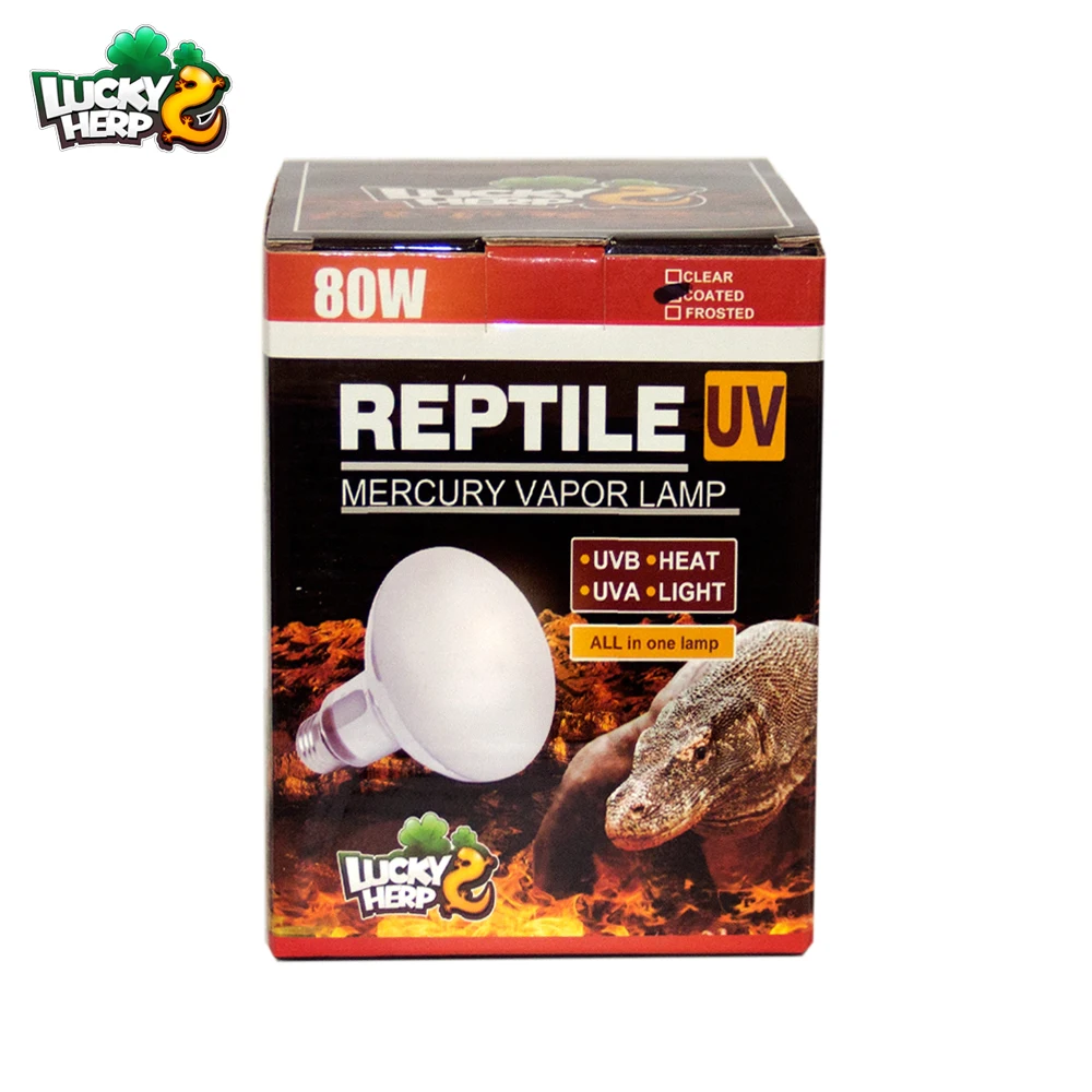 

R80 80W Mini Reptile UVB Mercury Vapor Bulb