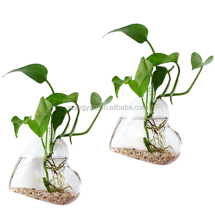 

2PCS Wall Hanging Glass Heart Shape Plant Terrarium Container for Propagating Hydroponic Plants Home Garden Decoration Wedding, Clear