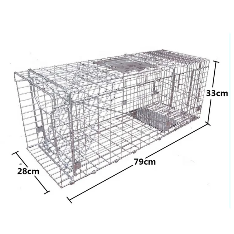 

Double Door Live Animal Catch Collapsible Cat Traps Cage for Sale, Silver