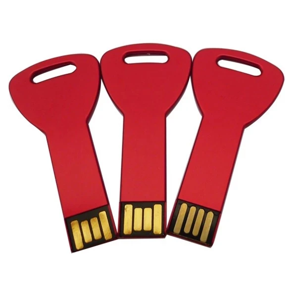 

Factory Price USB Stick Pen Drives 2GB 4GB Metal Key USB Flash Drives