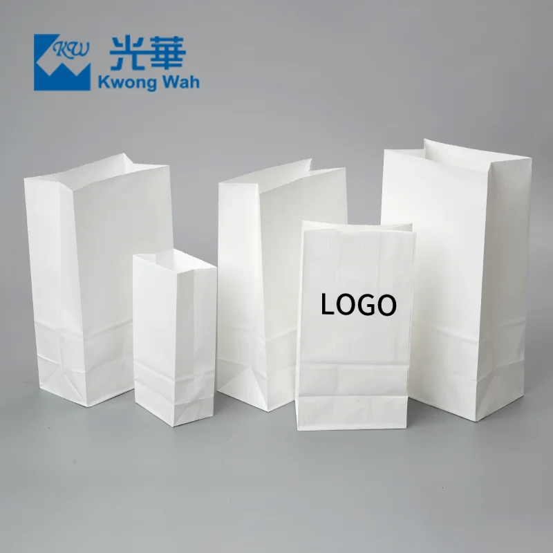 

Biodegradable Waterproof Food Packing Bag Custom Printed Fast Foods Kraft Paper Food Bag