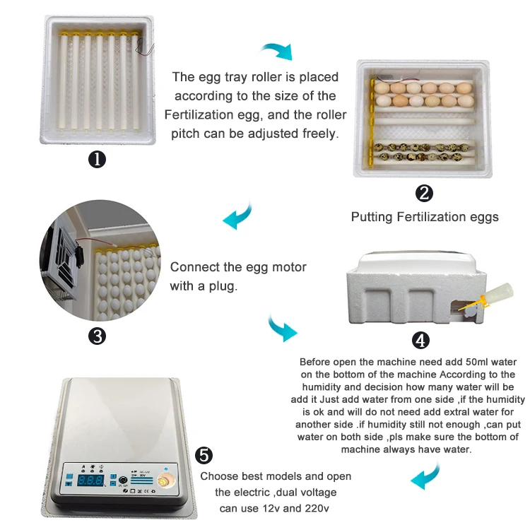 16egg incubator-26.jpg