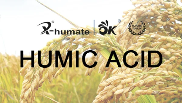 tianjin humate humic acid