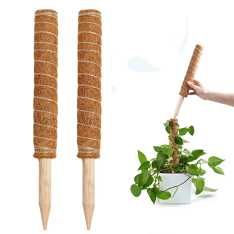 

Moss poles extendable climbing plants monstera stake plant support organic coco coir pole indoor stand ivy coconut palm sticks