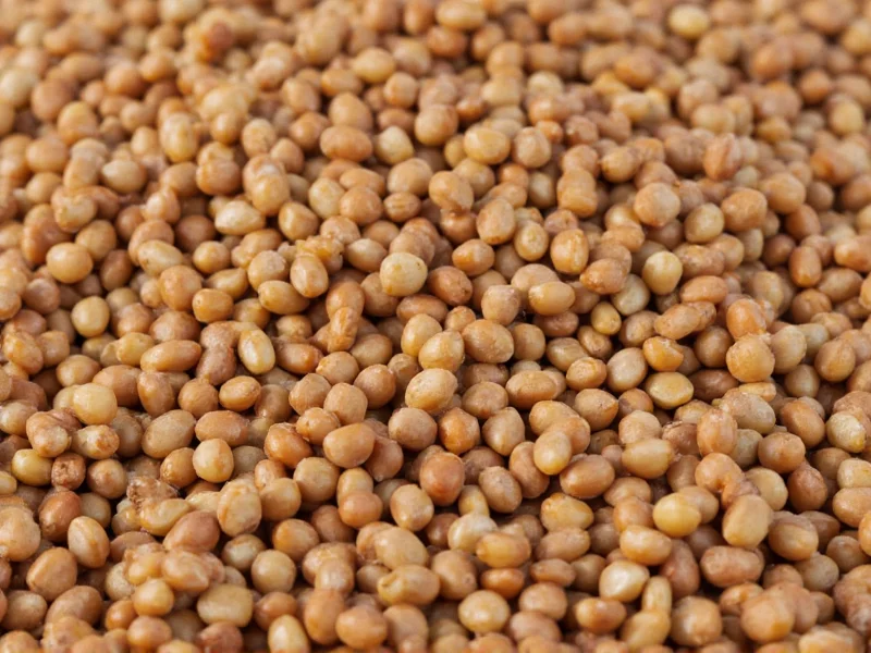 Carbohydrates in Lentils: Complete Nutritional Breakdown