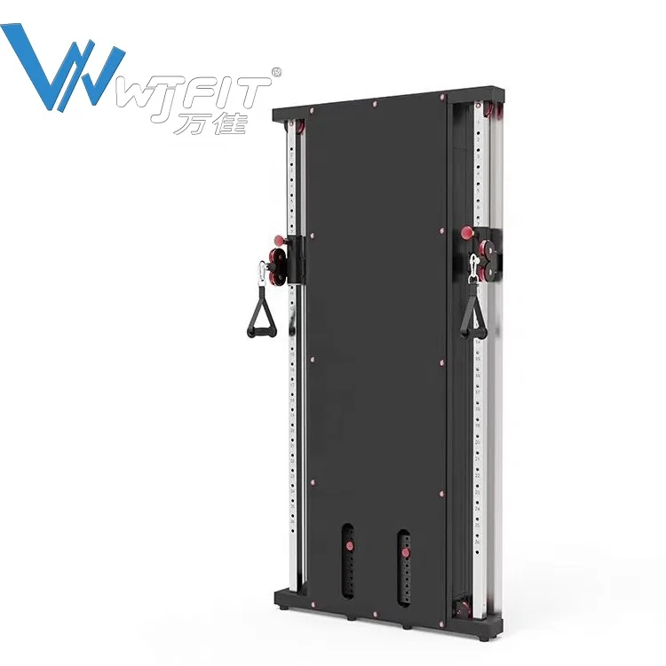 

Functional Trainer Commercial Gym Equipment Wall Mounted Cross Training Fitness Multi Functional Trainer Gym Machine, Black