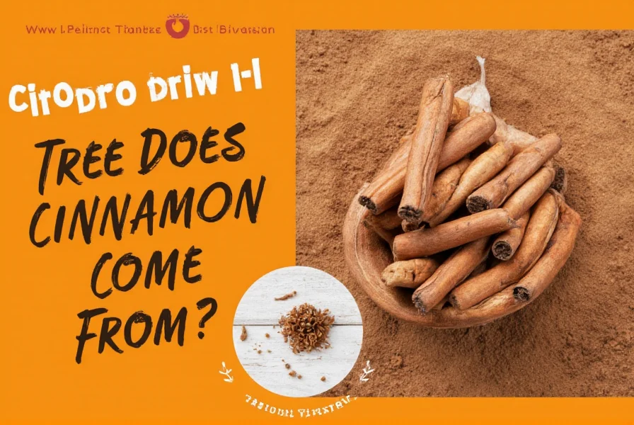 Types of Cinnamon