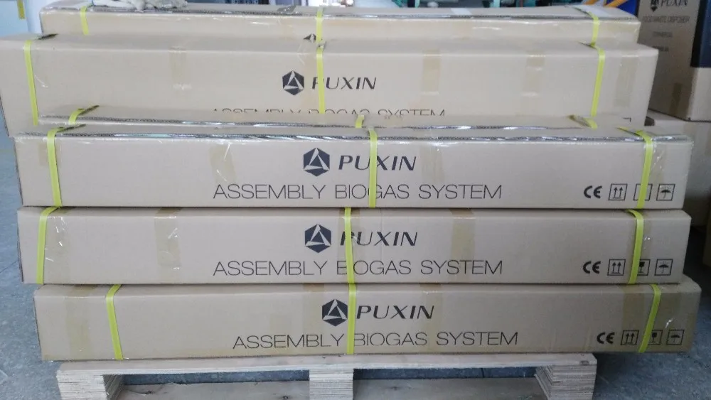 
New design hot sale puxin biogas plant assembly biogas digester 