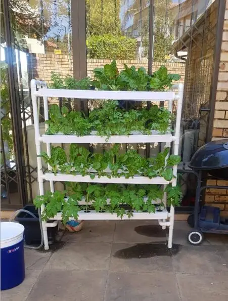 idoo hydroponics growing system