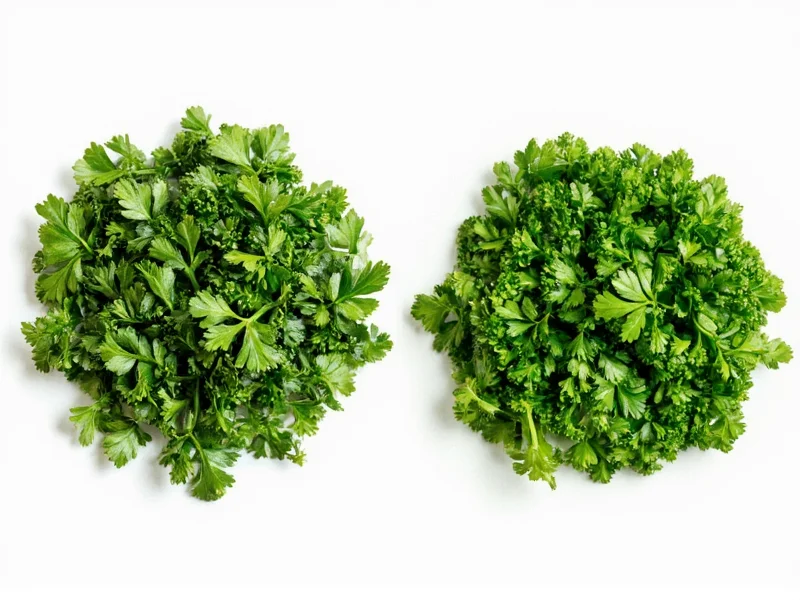 Dried vs Fresh Parsley: Key Differences and Best Uses