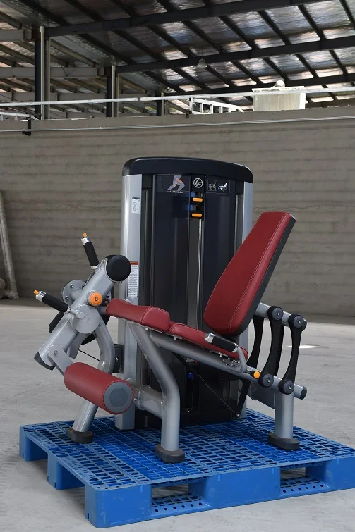 LS-916 Leg Extension (1).JPG