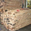 Dry and Wet Salted Cow Hide and Other Hides