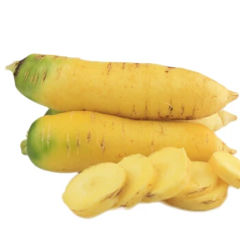 
Fresh Vegetable Chinese Radish /fresh carrot with Lowest Price 