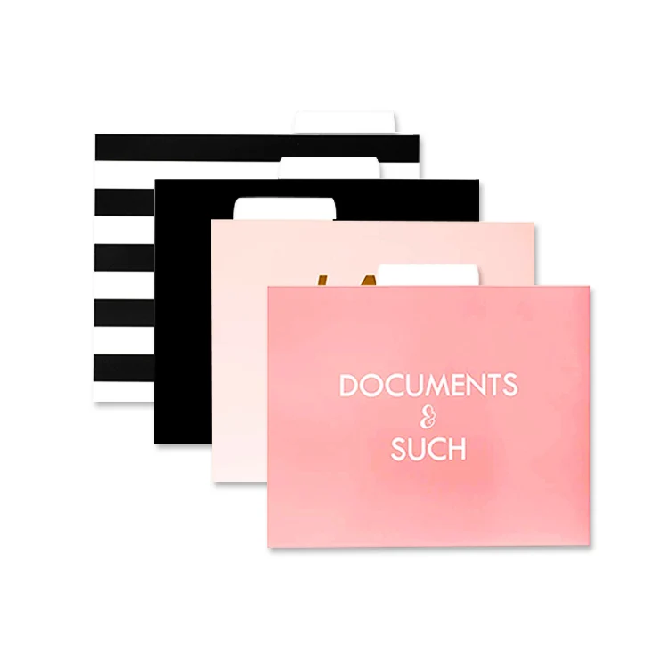 
Custom Large Decorative Paper Commercial Hanging Organizer Suspension File Folders 
