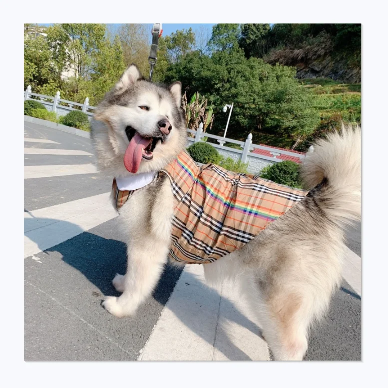 

Spring Summer classic teddy cat bullfight golden retriever large dog pet dresses apparel