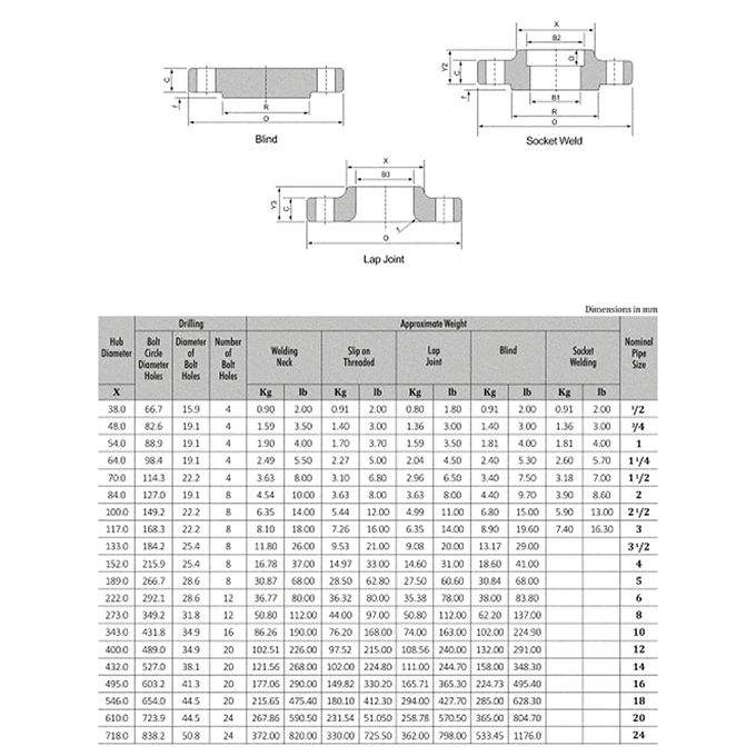 Dn25 Flange Wn Asme B16.5 Class 150 Rf Sch10s Bore Ss Duplex Astm A182 ...