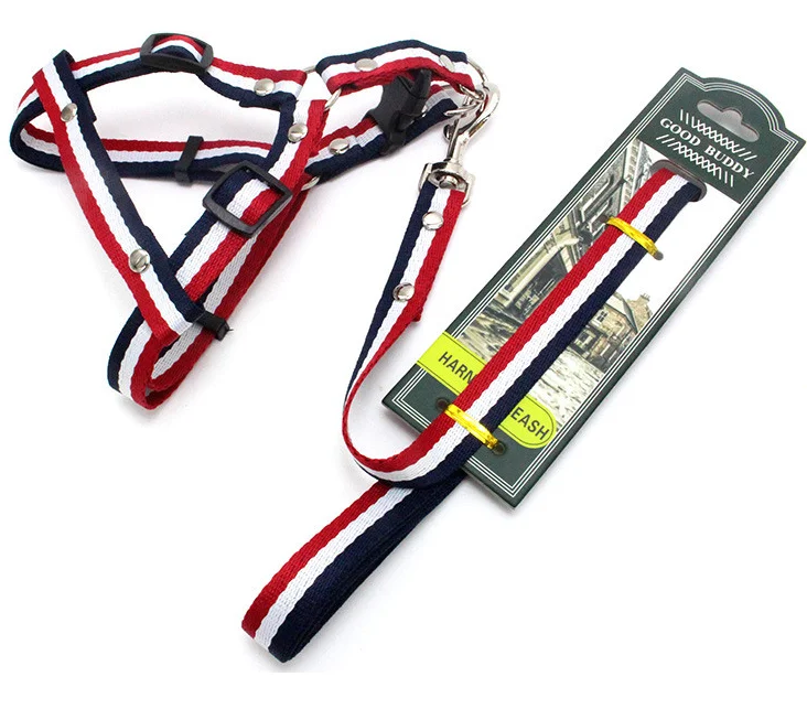 

2020 premium comfortable personalized small dog no pull security neck dog harness and leash set
