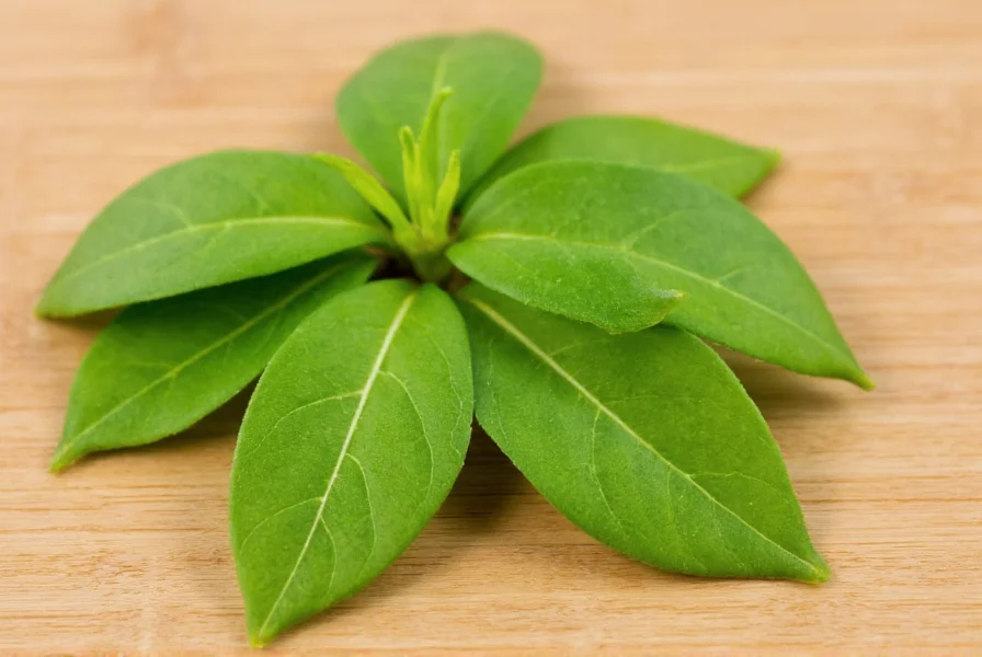 Close-up photograph of fresh clove leaves showing their distinctive oval shape and prominent central vein on a natural wood background