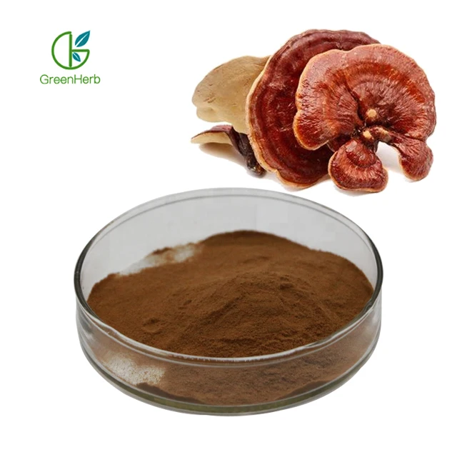 

Ganoderma Lucidum Reishi Mushroom Extract 30% polysaccharides Wholesale
