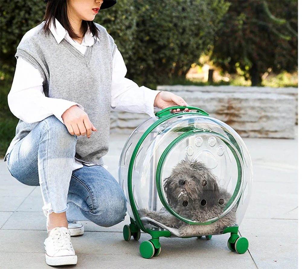 

Trolley luggage transparent bubble cat bag outing transport box cat stroller pet trolley cheap pet trolley box, Green/pink/blue/orange