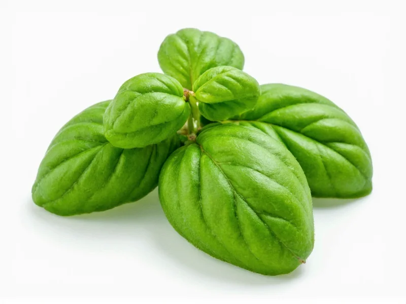 Dry Basil Equivalent to Fresh: Perfect Conversion Guide