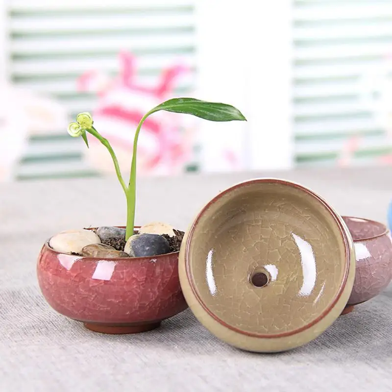 

AAA273 Creativity Succulent Plants Pots Mini Ice Crack Glaze Ceramics FlowerPot Garden Home Zakka Decor Craft Flower Pot