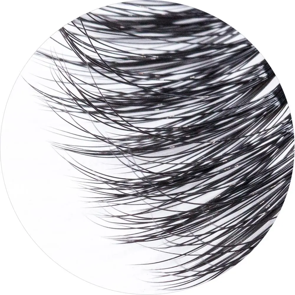 

Bulk Korean Fiber Vegan Premade Blooming Volume Silk Eyelash Extension