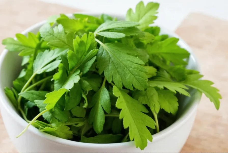 Fresh green fenugreek leaves on white background showing delicate leaf structure and vibrant color