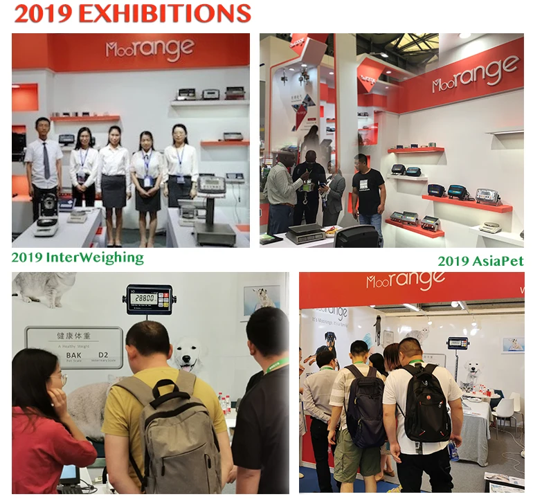 exhibitions