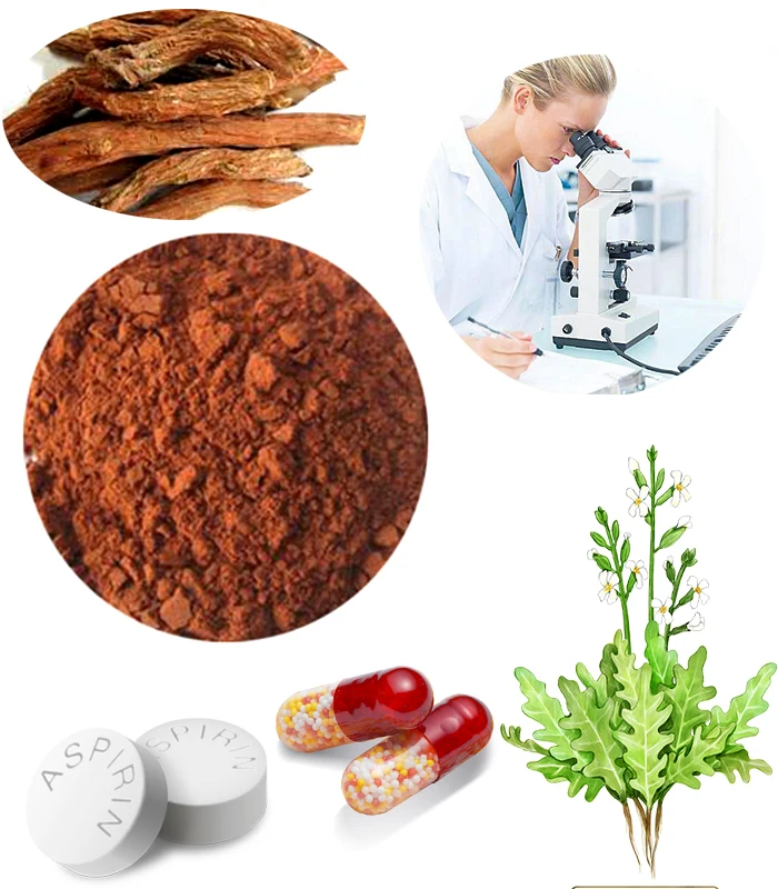 OEM/ODM Nonpareil Ceremony Janpan Halal Matcha Tea Extract Powder - 4uTea | 4uTea.com