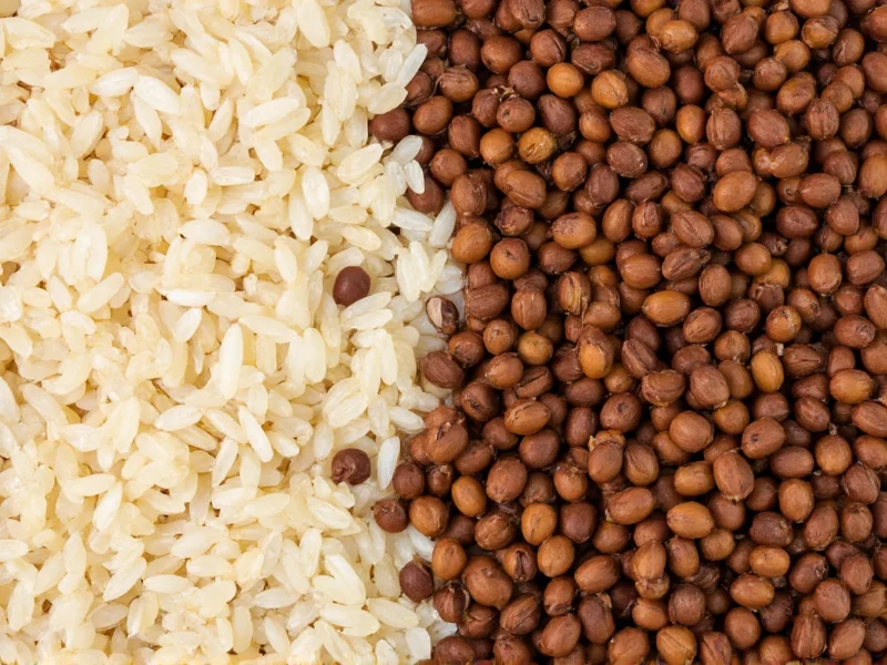 Lentils and Rice: Complete Protein Meal Guide