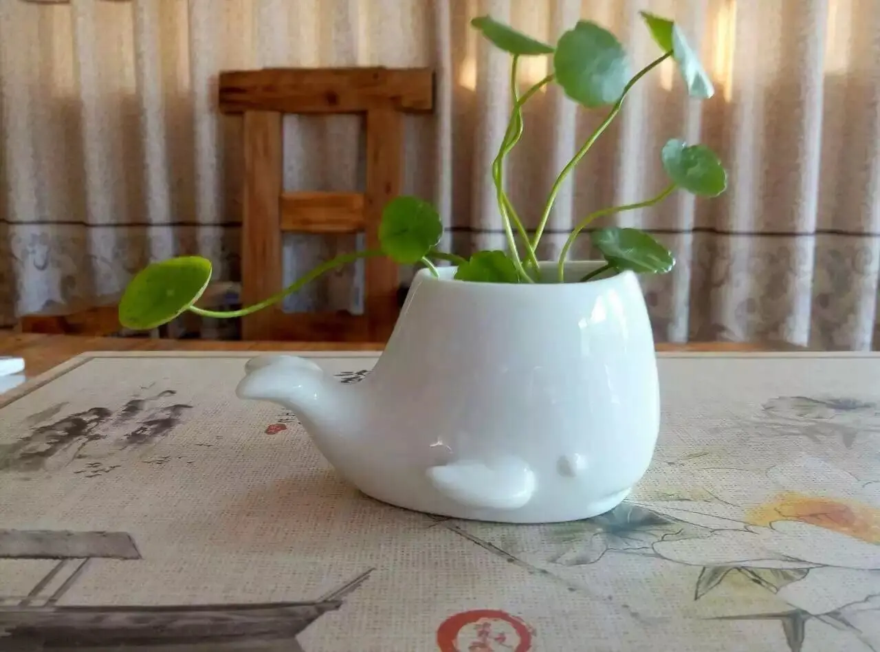 B372F33F-9F75-47F8-B04A-72E2F87878D7