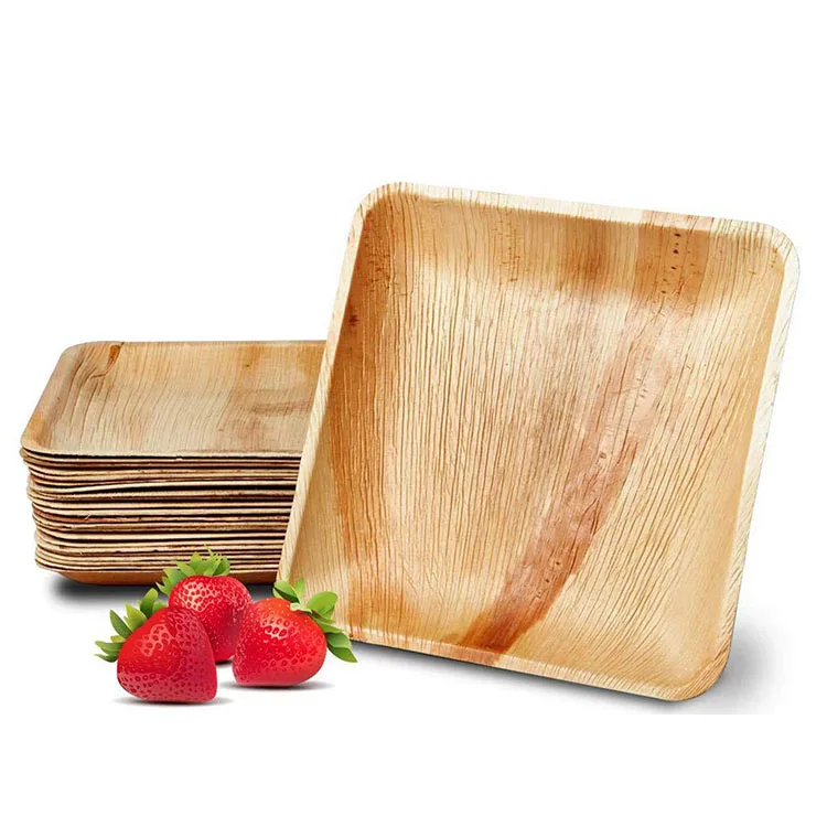 

Longleef Party Plates Compostable Eco Friendly  Square Biodegradable Areca Disposable Palm Leaf Plates, Natural