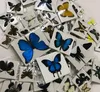 Factory direct spot can take out beautiful real butterfly specimens butterfly crafts decorations