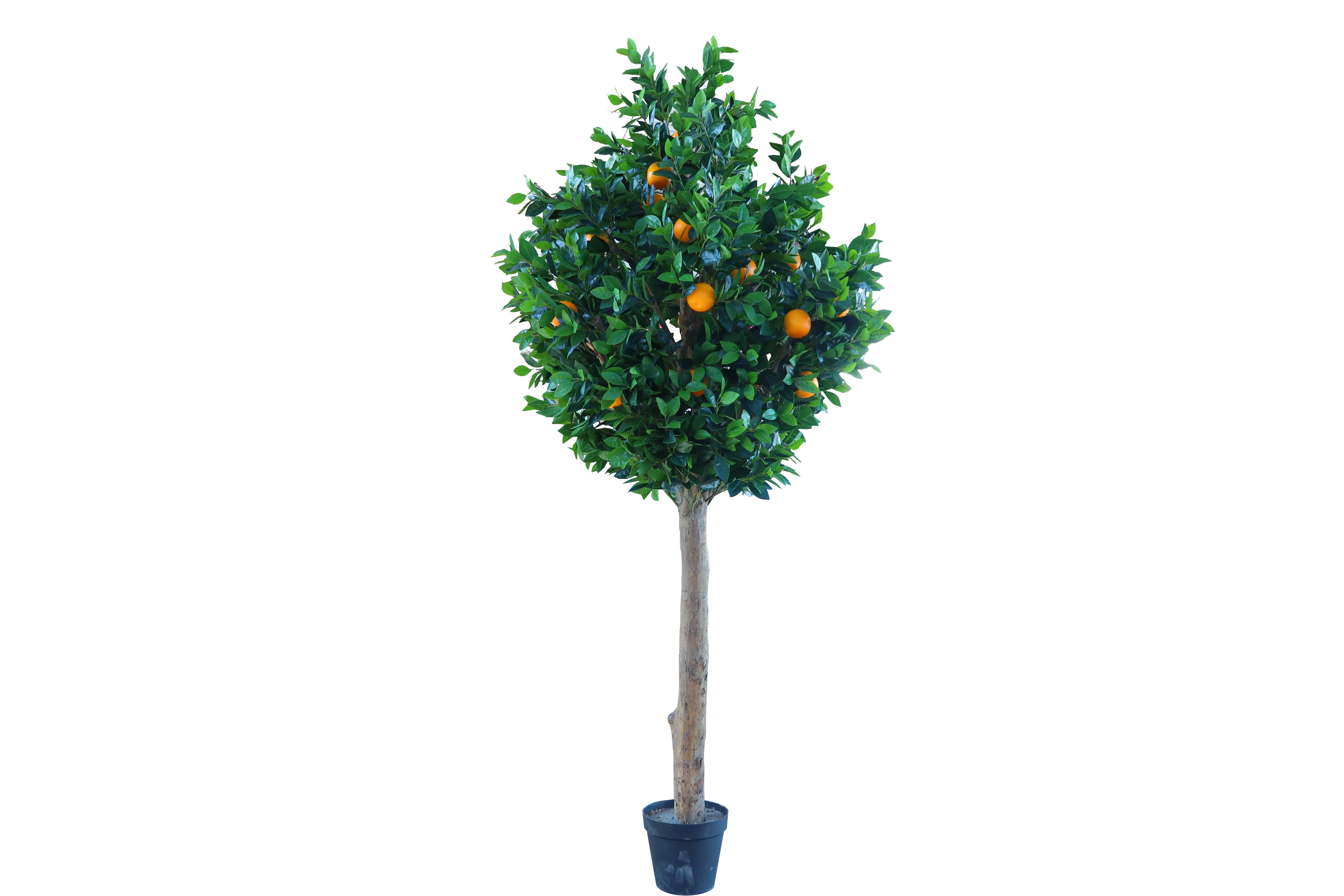 Hot Selling Ornamental Plastic Bonsai Tree Indoor Artificial Orange Fruit Tree Buy Artificial