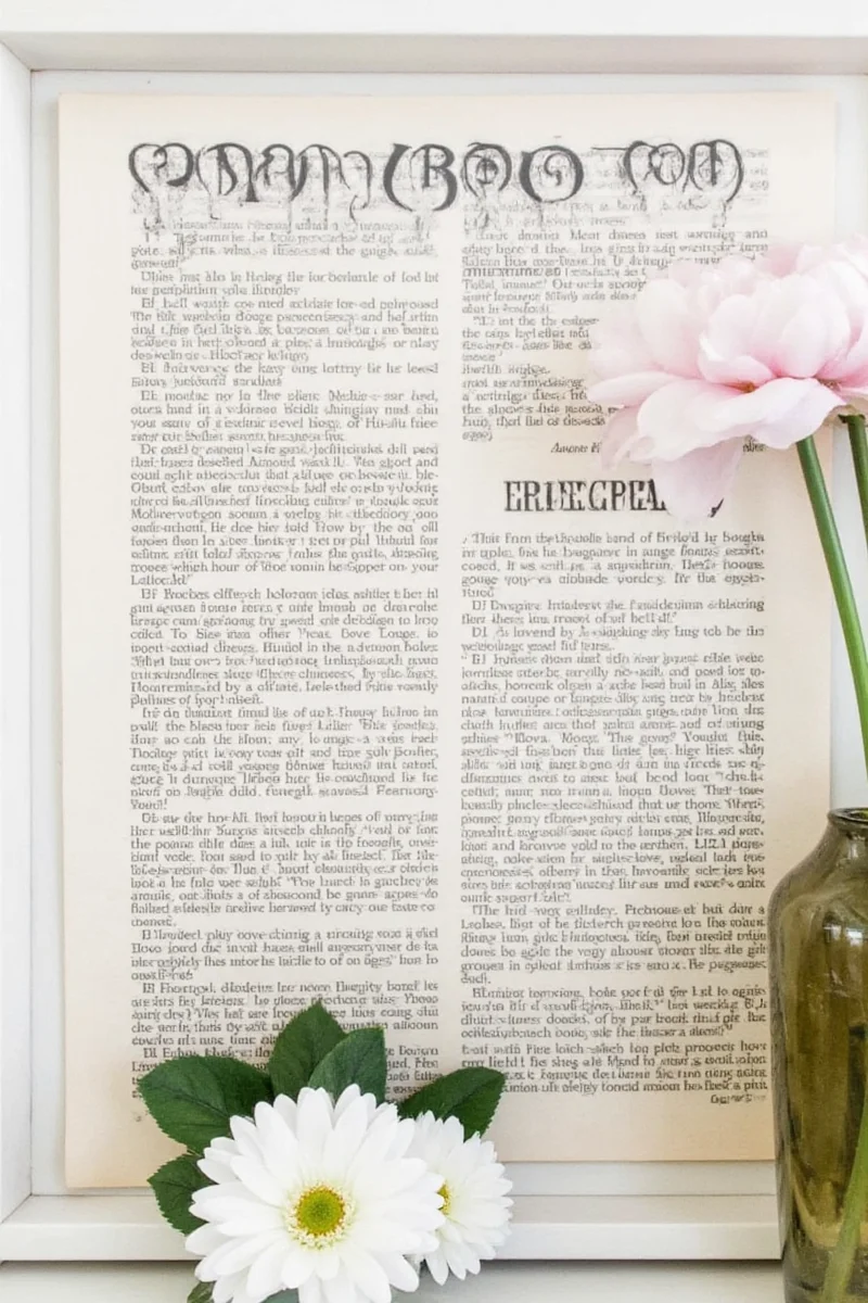 A framed dictionary art print showing the letter B shaped like a bird