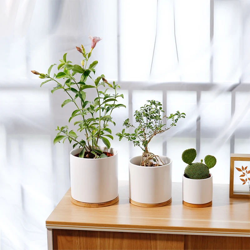 

Wholesale customized nordic cylinder ceramic flower plant pot indoor porcelain crafts garden pots with bamboo tray stand