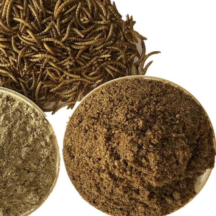 Pet Feed Dried Yellow Mealworms Dog Food Mealworm Insect Feed For Pet Buy Insect Mealworm