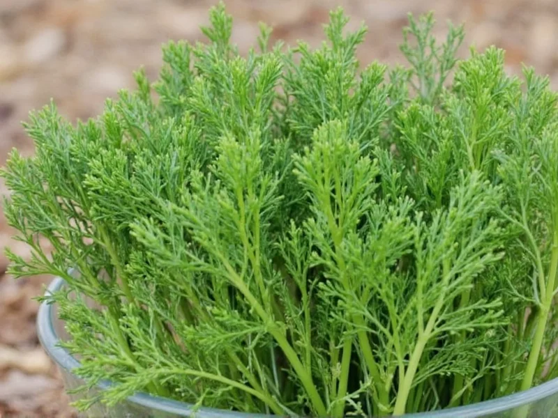 Top 5 Dill Replacement Options for Your Recipes