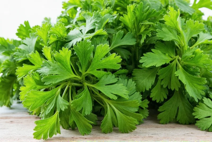 10 spanish parsley hacks that will change the way you store use this fresh herb forever