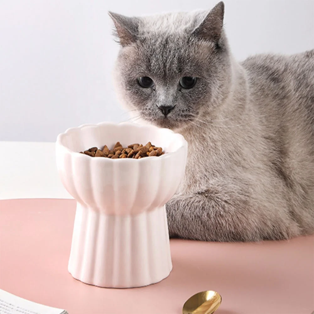 

Overhead ceramic cat food fashion pet bowl personalized cat bowls, Blue