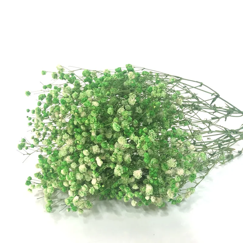 

Preserved Flowers Natural Fresh Gypsophila Paniculata Baby's Breath Bouquets Gift for Wedding Decoration Natale Decorazioni