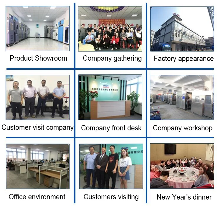 Lab Stainless Steel Low Temperature Cycle Water Bath ZJ-1120