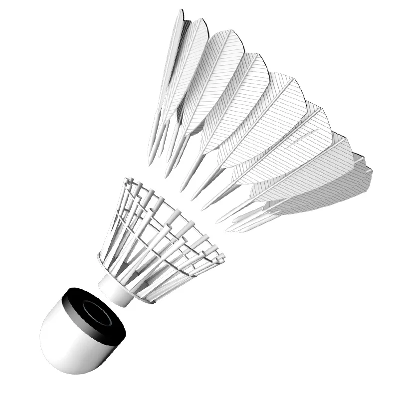 

WHIZZ new arrival 3 in 1 12 PCS durable goose feather badminton shuttlecock