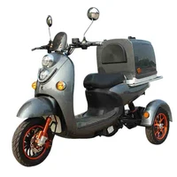 

Pizza Food Delivery Three Wheel Cargo Electric Scooter With Storage Box Container