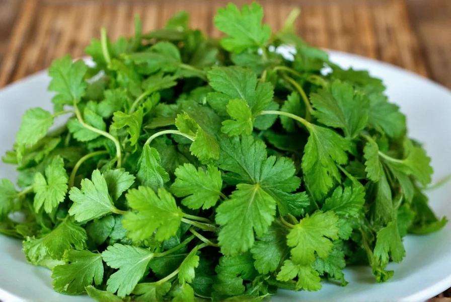 Vietnamese Coriander: Essential Herb in Vietnamese Cuisine