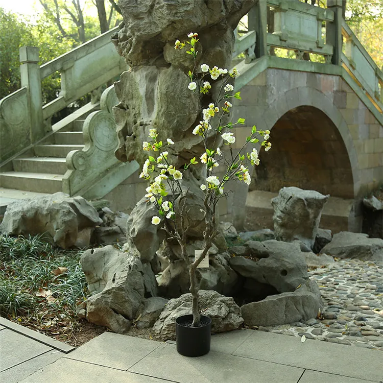 DA0A0568.JPG