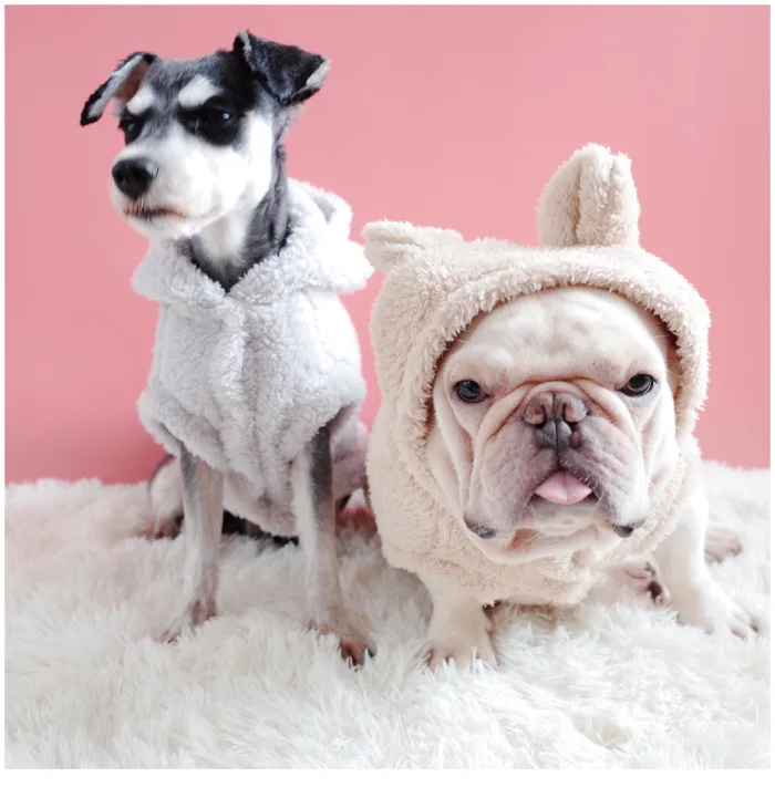 

Hot sale new fashion soft pet spring and autumn bear hooded pet jacket coral fleece soft warm dog clothes